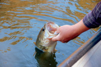 Fat Sacks Bass Club Tournament Returns to Arkansas River