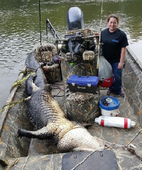 War Eagle: The Gator-haulin' Swiss Army Boat