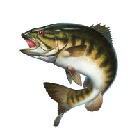 Rumble on the River Bass Team Tournament Returns to Camden