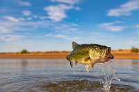 Participants Determine winners in the Bucket Head Bass Club Tourney